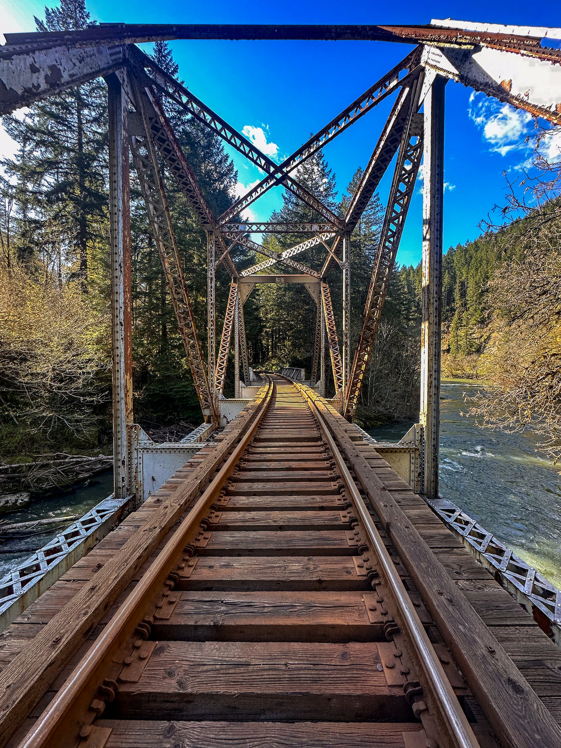 Off the Beaten Path: Discovering Oregon's Hidden Gem on Old Stage Coach Road