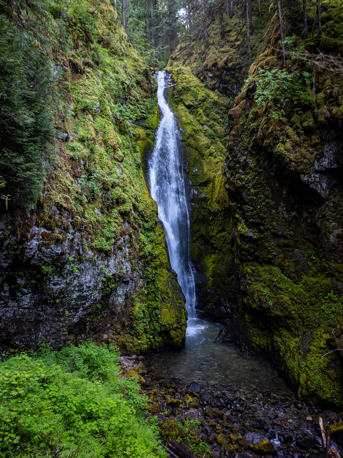 A Family's Journey to Pinard Falls: Embracing Nature's Challenges and Rewards